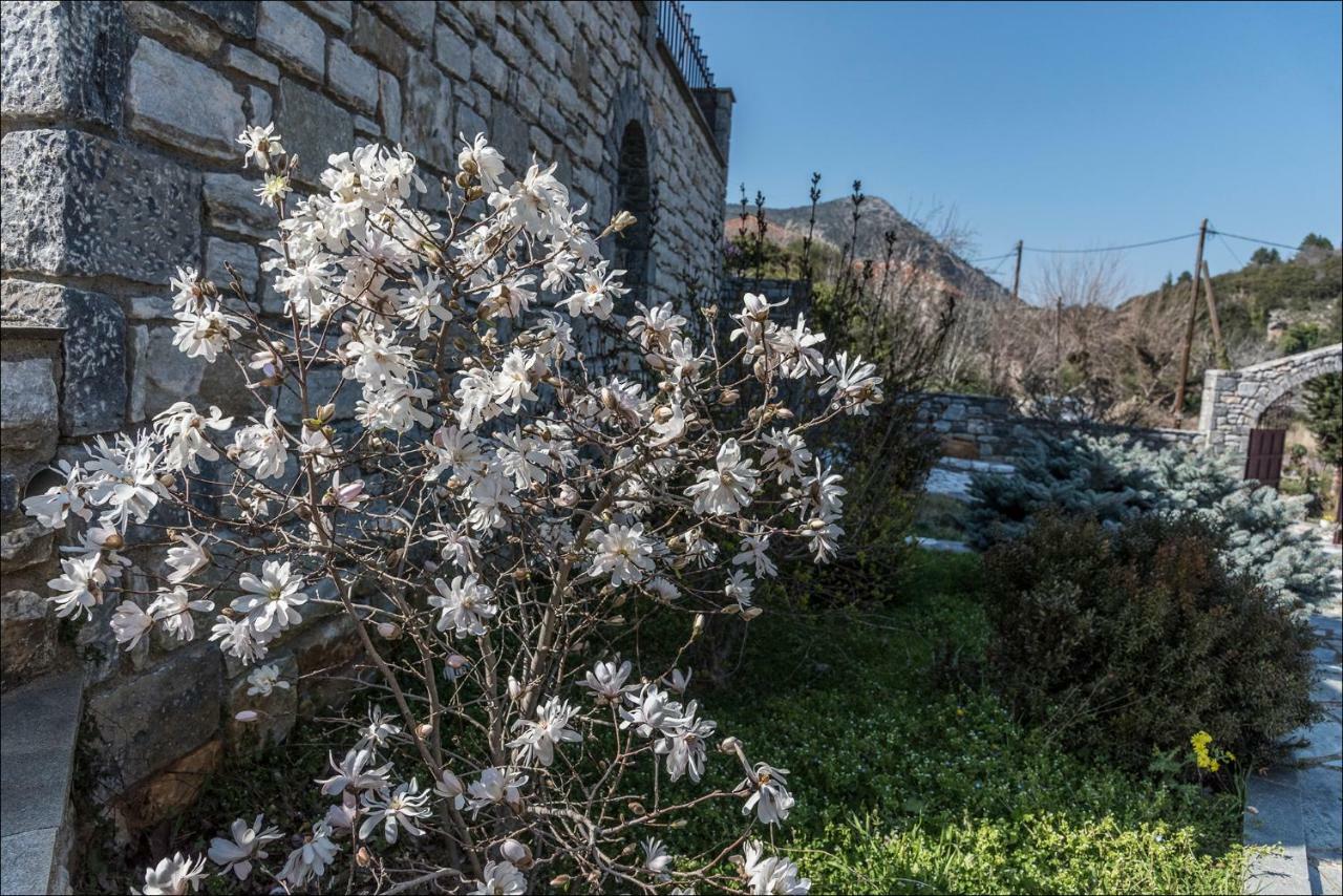 Вилла Stone Mansion Anavryti, Αμα 20569 Мистра Экстерьер фото
